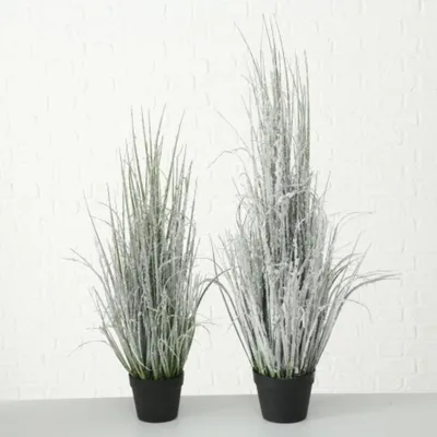 Produktbild von Boltze Gruppe Gras im Topf 88 cm (1 Stück)