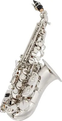 Image de Latone LSS 500 Silver Elegance Saxophone Soprano