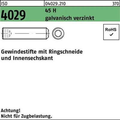 Produktbild von Gewindestift ISO 4029 Ringschneide/Innen-6kt M6x6 45 H galv.verz. 1000St.