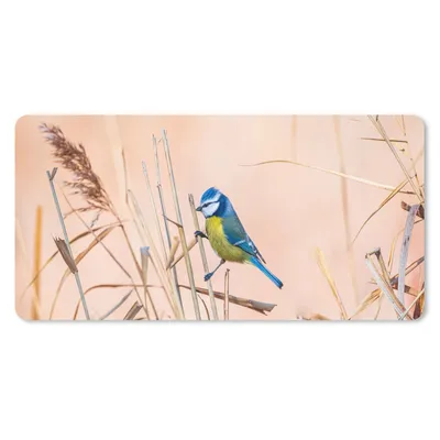 Produktbild von MuchoWow® Mauspad Mousepad Vogel - Blaumeise - Schilf 60x30 cm - Mousepads - Maus Mat - Pad - Mausunterlage - Nachhaltig