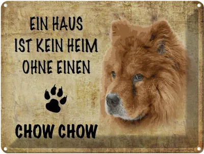 Produktbild von vianmo Blechschild 30x40 cm Chow Hund