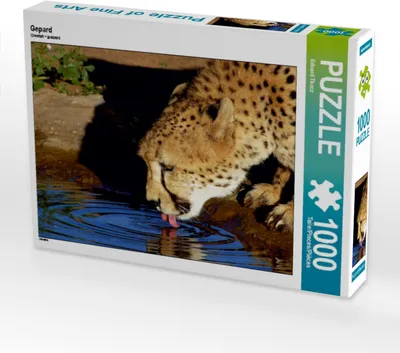 Produktbild von Calvendo Gepard 1000 Teile Puzzle quer 640x480mm, Tkocz Eduard; 7400818