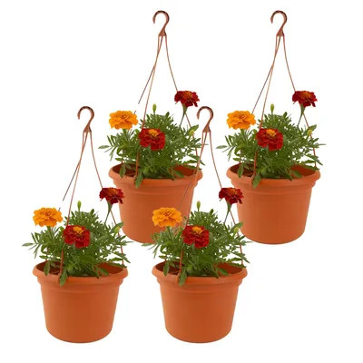 Obrázok produktu pre Sada 4 závesných kvetináčov Ø 25 cm – kvetináč na balkón, terasu a do záhrady