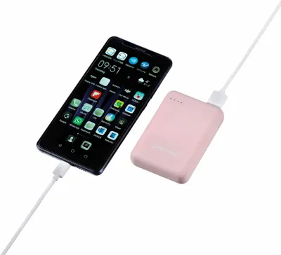 Obrázok produktu pre Intenso Powerbank XS10000 rosé 10000 mAh inkl. USB-A na typ C