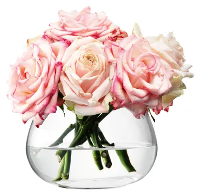 Produktbild von LSA | Vase FLOWER, klar, H11.5cm