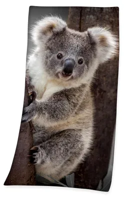 Produktbild von Velourstuch Duschtuch Badetuch Strandtuch mit Koala 75 x 150cm