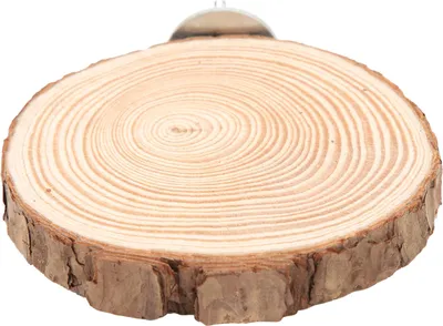 Image de Perchoir rond pour oiseaux en bois naturel pour cage oiseaux perroquets mordeurs Standing8-10
