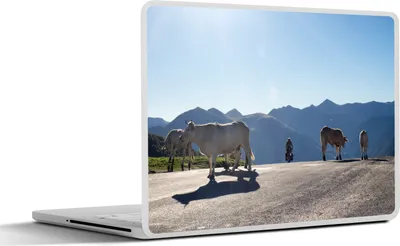Produktbild von MuchoWow® Laptop Aufkleber Sticker Cover Schottische Hochlandrind - Licht - Berge - Natur 32.5x23.5 cm - Sticker für Laptop - Selbstklebend