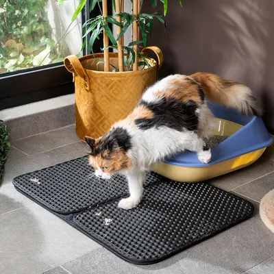 Immagine prodotto di Tappetino per lettiera Clikatt InnovaGoods