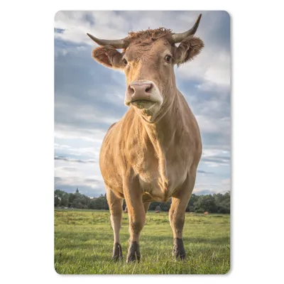 Produktbild von MuchoWow® Mauspad Mousepad Kuh - Braun - Natur 18x27 cm - Mousepads - Maus Mat - Pad - Mausunterlage