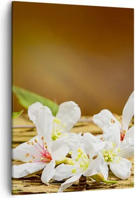 Produktbild von Bild auf Leinwand - Leinwandbild - Einteilig - Asien spa bambus blume - 50x70cm - Wand Bild - Wanddeko - Wandbilder - Leinwanddruck - Wanddekoration - Leinwand bilder - Wandbild - PA50x70-2499