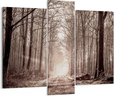 Produktbild von Bild auf Leinwand - Leinwandbild - Wald Straße Baum - 95x80cm - Wand Bild - Wanddeko - Wandbilder - Leinwanddruck - Bilder - Kunstdruck - Wanddekoration - Leinwand bilder - Wandkunst - CB95x80-3620
