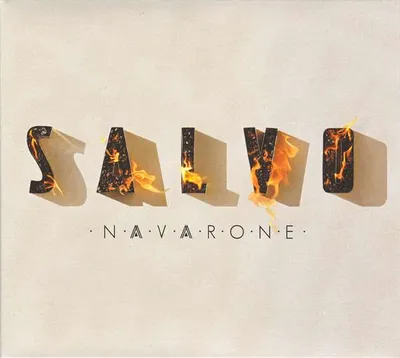 Imagen del producto de Salvo