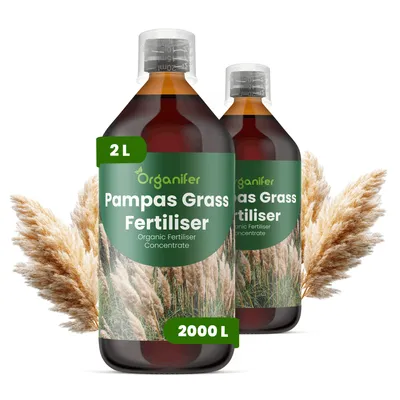 Zdjęcie produktu dla Pampasowa Trawa Nawóz Płynny 2x1 L – 2-1-8 NPK – Do Pampovú Trawę – Podporuje Silne Korzenie i Stabilny Wzrost – Organifer