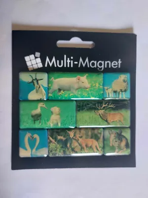 Produktbild von 1 Set Magnete: Waldtiere, 8 Stück, Magnet Tiere Kühlschrankmagnete Tier