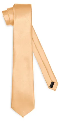 Produktbild von Klassische Herren Krawatte glänzend Vielfältige Farben TMS-8 150cmx8cm