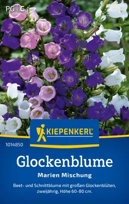 Artikelbild 2 von 'Glockenblume Marien Mischung' aus der Kategorie Glockenblumensamen