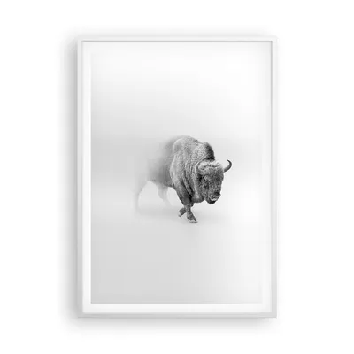Produktbild von Gerahmtes Poster - Weißer Rahmen - Wisent Schwarzweiß Licht - 70x100 cm - Wand Bild - Wanddeko - Wandbilder - Kunstposter - Wandposter - Bilderrahmen - Bilder - Kunstdruck - P2WPA70x100-4418