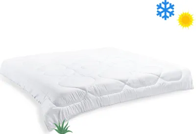 Produktbild von Französische Decke Aloe Vera ganzjährig 200x200cm 1200g