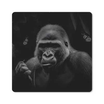 Produktbild von MuchoWow® Mauspad Mousepad Schmetterlinge - Affe - Dschungel - Schwarz - Weiß 30x30 cm - Mousepads - Maus Mat - Pad - Mausunterlage - Gaming