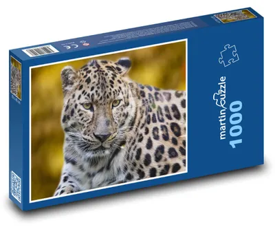 Zdjęcie produktu dla Puzzle 1000 Lampart w dziczy - martinpuzzle