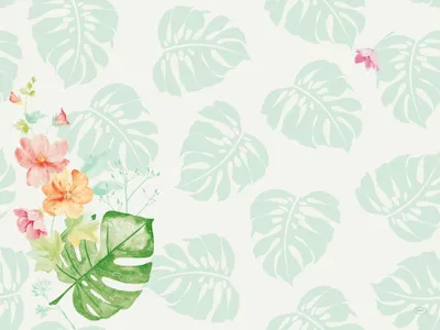 Immagine prodotto di DC-Set 30x40 Tropic.Gard.100St