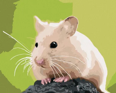Produktbild von Zuty - Malen nach Zahlen - GOLDHAMSTER AUF EINEM FELSEN, 40x50 cm, ohne Keilrahmen