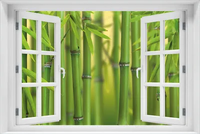 Produktbild von Wallario Poster mit Fenster-Illusion: Grüner Bambuswald, Größe: 61 x 91,5 cm (Maxiposter)