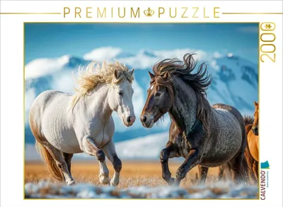 Produktbild von CALVENDO Puzzle Kräfte messen | 2000 Teile Lege-Größe 90x67cm Foto-Puzzle für glückliche Stunden