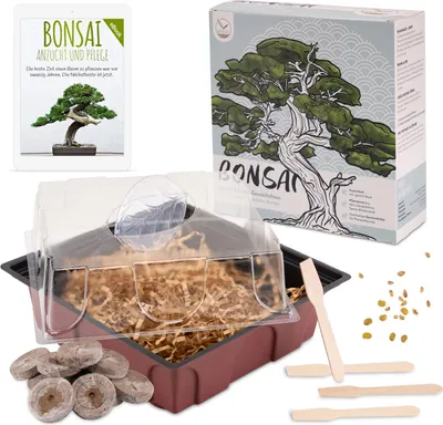 Produktbild von Bonsai Starter Kit inkl. GRATIS eBook & Gewächshaus (Afrikanischer Blauregen + Zwerg-Granatapfel)