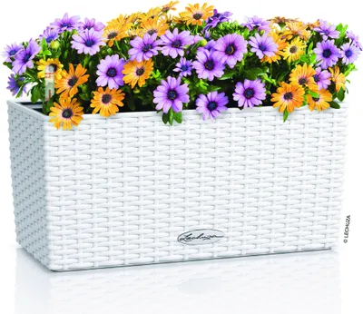 Obrázok produktu pre LECHUZA BALCONERA Cottage 40, Vysadzovač, Voľne stojace, Recyklovaný plast, Biela, Obdĺžnik, Vnútorná / vonkajšia