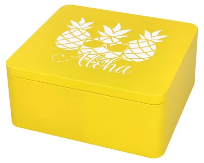 Produktbild von BIRKMANN Geschenkbox mit Spruch, gelb, 21 x 19 cm, H 9 cm, aus robustem Weißblech, 439818