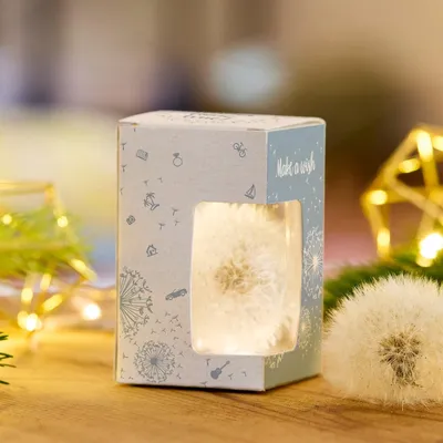 Produktbild von Wunscherfüller Geldgeschenk Verpackung kreative Geschenkidee mit Pusteblume