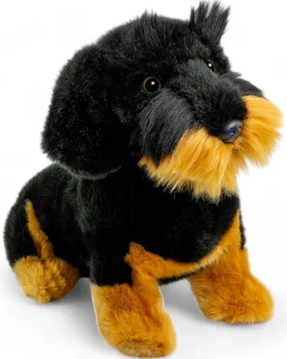 Immagine prodotto di Bassotto, Rauhaardackel seduto nero ca. 30 cm di Carl Dick 3443 peluche, peluche, peluche