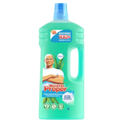 Produktbild von Meister Proper, Allzweckreiniger