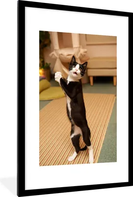 Produktbild von MuchoWow® MuchoWow® Gerahmtes Poster Katze - Wohnzimmer - Schwarz 60x90 cm - Poster mit zchwarzem Bilderrahmen - Dekoration - Wandposter Wohnzimmer - Hochwertig