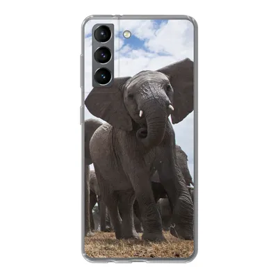 Produktbild von MuchoWow® Handyhülle Schutzhülle Hülle für Samsung Galaxy S21 Elefant - Tiere - Natur - Flachland Silikon Softcase Handy Hülle - Softcase