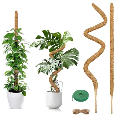 Obrázok produktu pre Držiak na popínavé rastliny, 2 kusy, 120 cm, flexibilný
