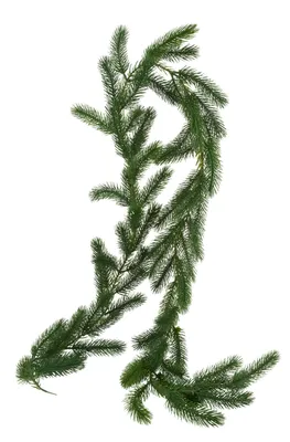 Produktbild von VBS Edeltannengirlande "Eitra", ca. L 180 cm