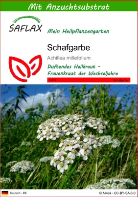 Produktbild von SAFLAX - Schafgarbe - Achillea millefolium - 200 Samen - Mit keimfreiem Anzuchtsubstrat