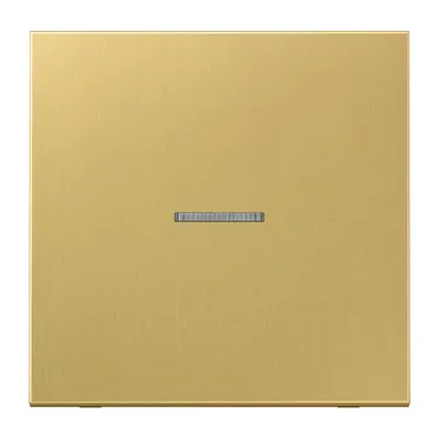 Produktbild von Jung ME2990KO5C Wippe für Schalter/Taster KO