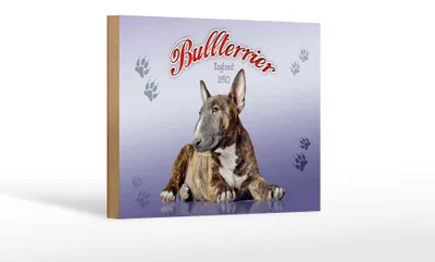 Produktbild von Holzschild Hund 18x12cm Bullterrier England 1850