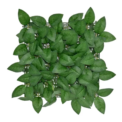 Produktbild von Pflanzenwand Big Rose Leaf Elegante Wandgestaltung mit großen Rosenblättern 33 x 33 cm