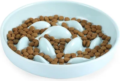 Image de IDOGCHEW Ecuelle anti-glissement en céramique pour chats et chiens, Slow Feeder, vert clair