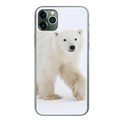 Produktbild von MuchoWow® Handyhülle Schutzhülle Hülle für iPhone 11 Pro Max Eisbär - Schnee - Weiß Silikon Softcase Handy Hülle - Schutz