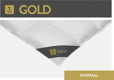 Produktbild von Spessarttraum Bettdecke Daunendecke Gold 240 x 220 cm Normal