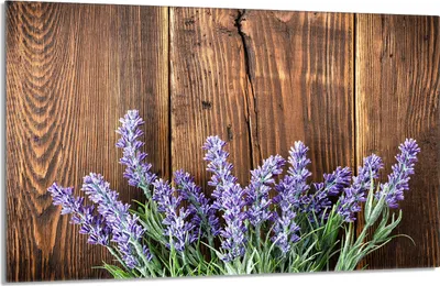 Immagine prodotto di Piastra di copertura del piano cottura 80x52cm 1 pezzo in Vetroceramica, paraspruzzi, legno di lavanda