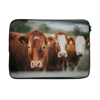Produktbild von MuchoWow® Laptop Hülle 14 ZollKühe - Gras - Zaun Laptoptasche - Laptoptasche - Stoßsicher - Schutzhaube