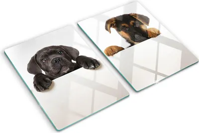 Imagen del producto de Cubierta para placa de cocina – Cubierta para placa de inducción – Placa de vidrio protectora – 2 unidades de 40x52 cm – Placas de vidrio protectoras para cocina – Vidrio templado – Tres cachorros