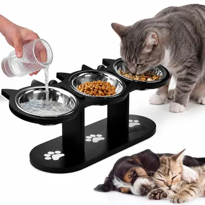Produktbild von Katzennapf, Erhöhter Futternapf, Fressnapf Katze, Katzenfressnapf, Katzennäpfe, Katzennapfständer, 15° kippbarer, für Katzen und kleine Hunde
